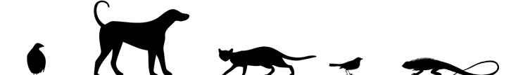 Tiersilhouetten